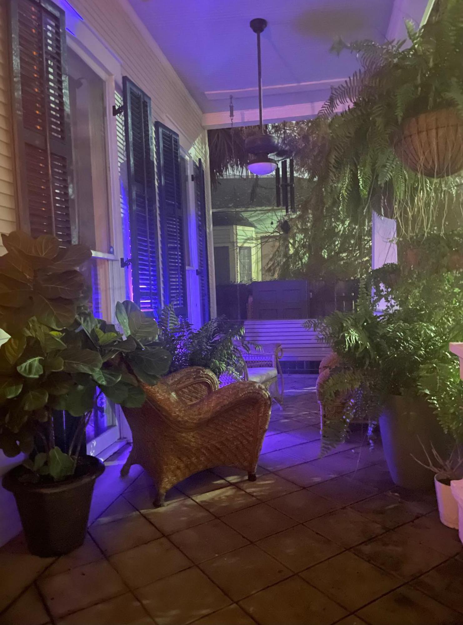 The Dragonfly Treme Guest House New Orleans  Kültér fotó