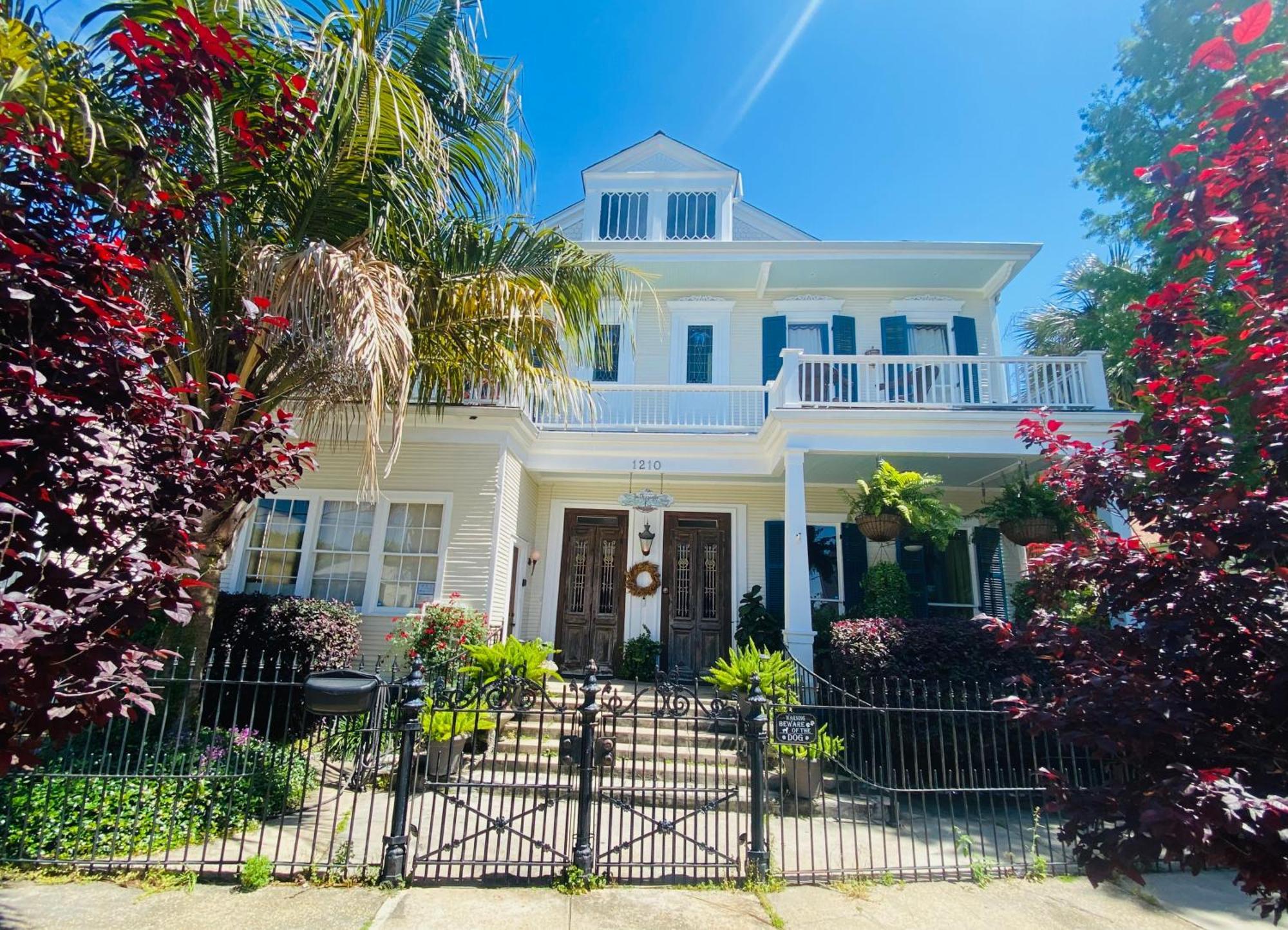 The Dragonfly Treme Guest House New Orleans  Kültér fotó